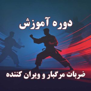 دوره آموزش ضربات مرگبار و ویران کننده