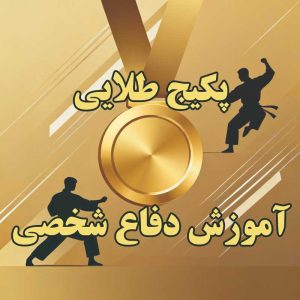 پکیج طلایی آموزش دفاع شخصی